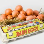 Organic Eggs New Zealand