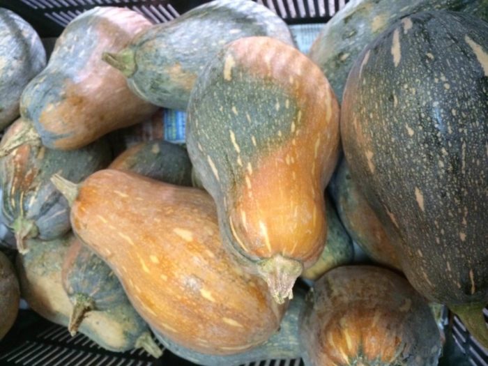 Organic Pumpkin - straits market singapore