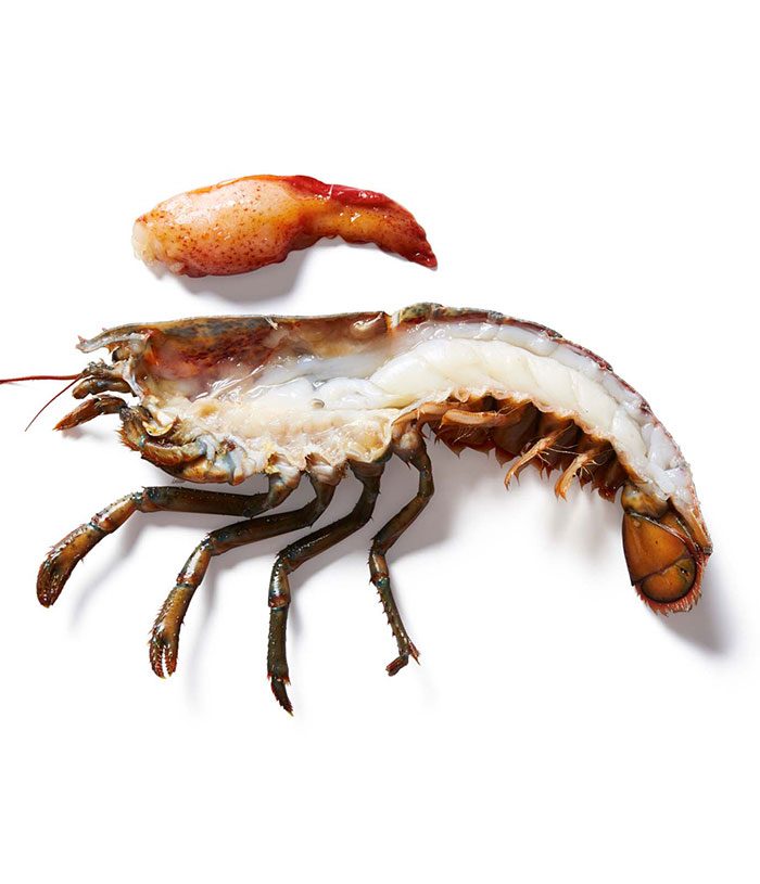 Lobster Split Small Chix